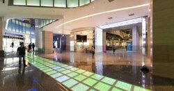 Cathay Cineleisure Orchard (D9), Shop House #457546831